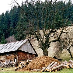 photo "4 Wooden Houses"