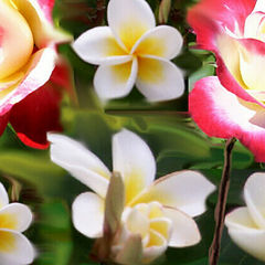 photo "Boquete of Flowers"