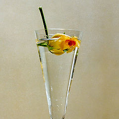 photo "Rose Cocktail"