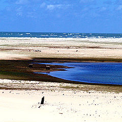 photo "Delta of San Francisco river"