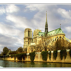 photo "Notre Dame. The "Rive gauche""