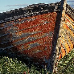 фото "Stranded"