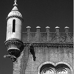 photo "Bussaco Palace"