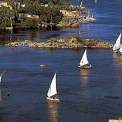 photo "The fishing fleet"