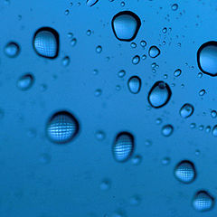 photo "drops"