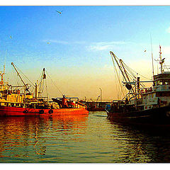 photo "Kumkapi Fish Market"