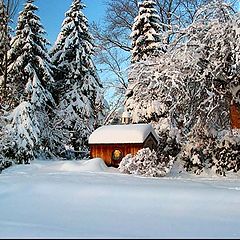 photo "Snow Covered Sunrise"