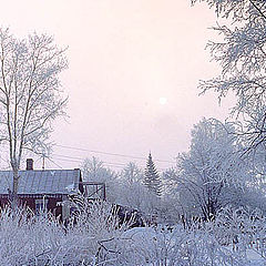 photo "winter holidays"