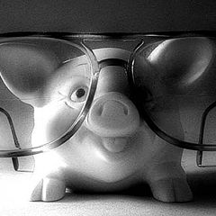 photo "Myopic Pig"