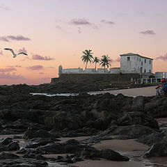 photo "on sundown (with sea gull)"