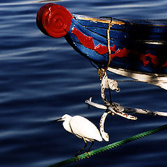 фото "Boat"
