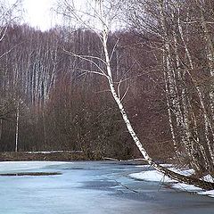 фото "Апрель"