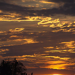 photo "Sambezi Sunset"
