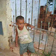 photo "Children of Salvador #8"