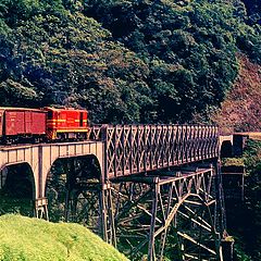photo "Paranagua Railroad Bridge"