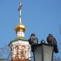 фото "Весенний этюд"