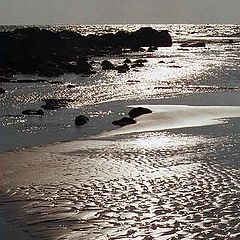photo "Ornament of the sea"
