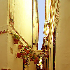 photo "Evening walking along Cordoba streets"