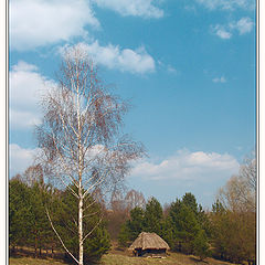 фото "Апрель в Киеве"