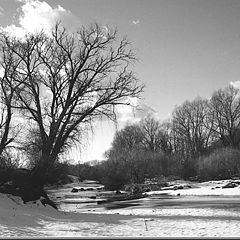 photo "The Road to Spring 3"