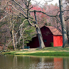 фото "Red Barn"