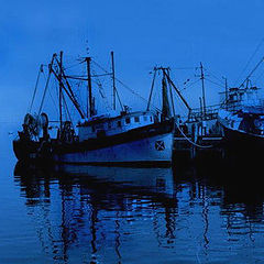 photo "Fishing boats"