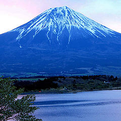 photo "Purple Fuji"