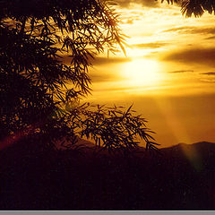 photo "Tropical Sunset"