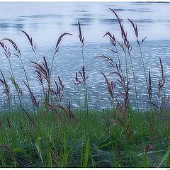 photo "Lakeside"