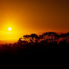 photo "Sun set"
