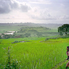 photo "Woman on the rise field"