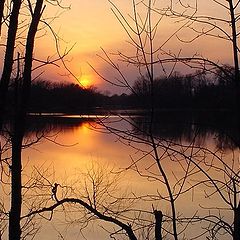 photo "River Sunset"