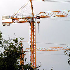 photo "My Yellow Cranes"