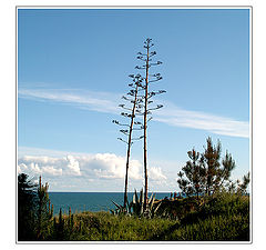 photo "Three Men looking the Giants"