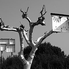 фото "Winter tree with rusty signs"