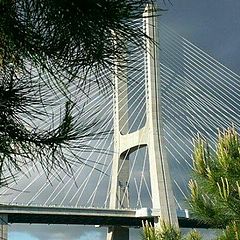 фото "Vasco da Gama Bridge II"