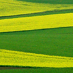 photo "Schoeneck in late spring"