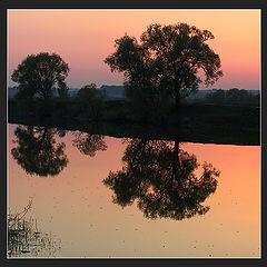 photo "Warm evening of last year spring..."