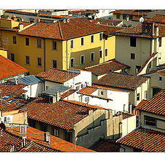 фото "Roof tops under the sun"