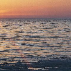 photo "Sunset of lonely beaver"