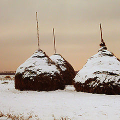 photo "Winter grasslands"