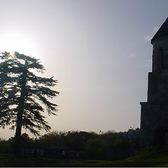 photo "The Belfry"