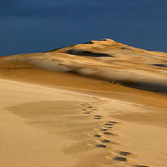 photo "footsteps in a sand dune after storm"