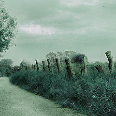 photo "the long way"