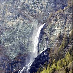 photo "Spring Alpes"