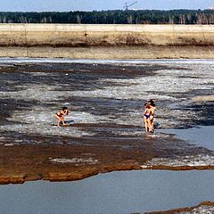 фото "Весенняя радость (Новосибирск, май)"