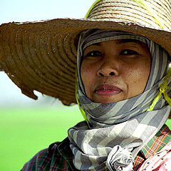 photo "Hard working woman"