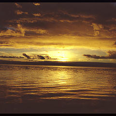 фото "Golden Sky"