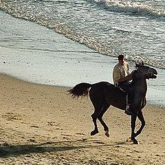 photo "Sea cowboy"