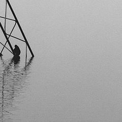 photo "silence"